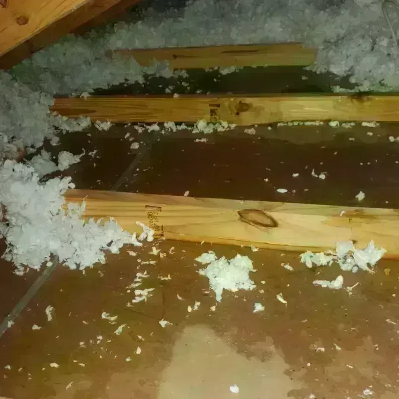 Attic Water Damage in Norfolk, MA